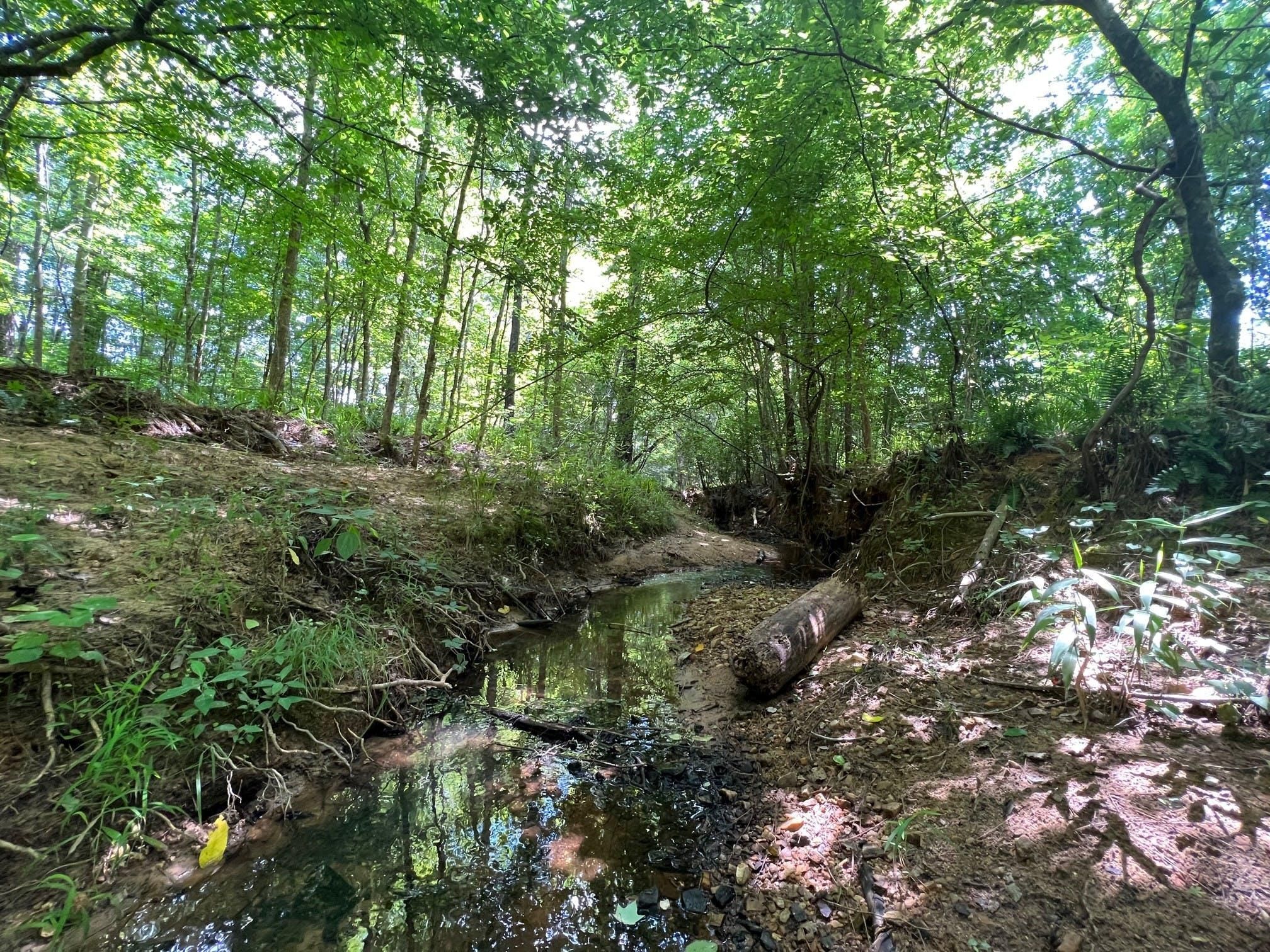 Sparta, Hancock County, GA Recreational Property, Timberland Property