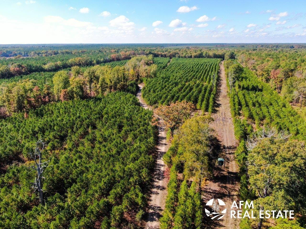48.5 acres in Bagwell, TX, 75412 LandWatch