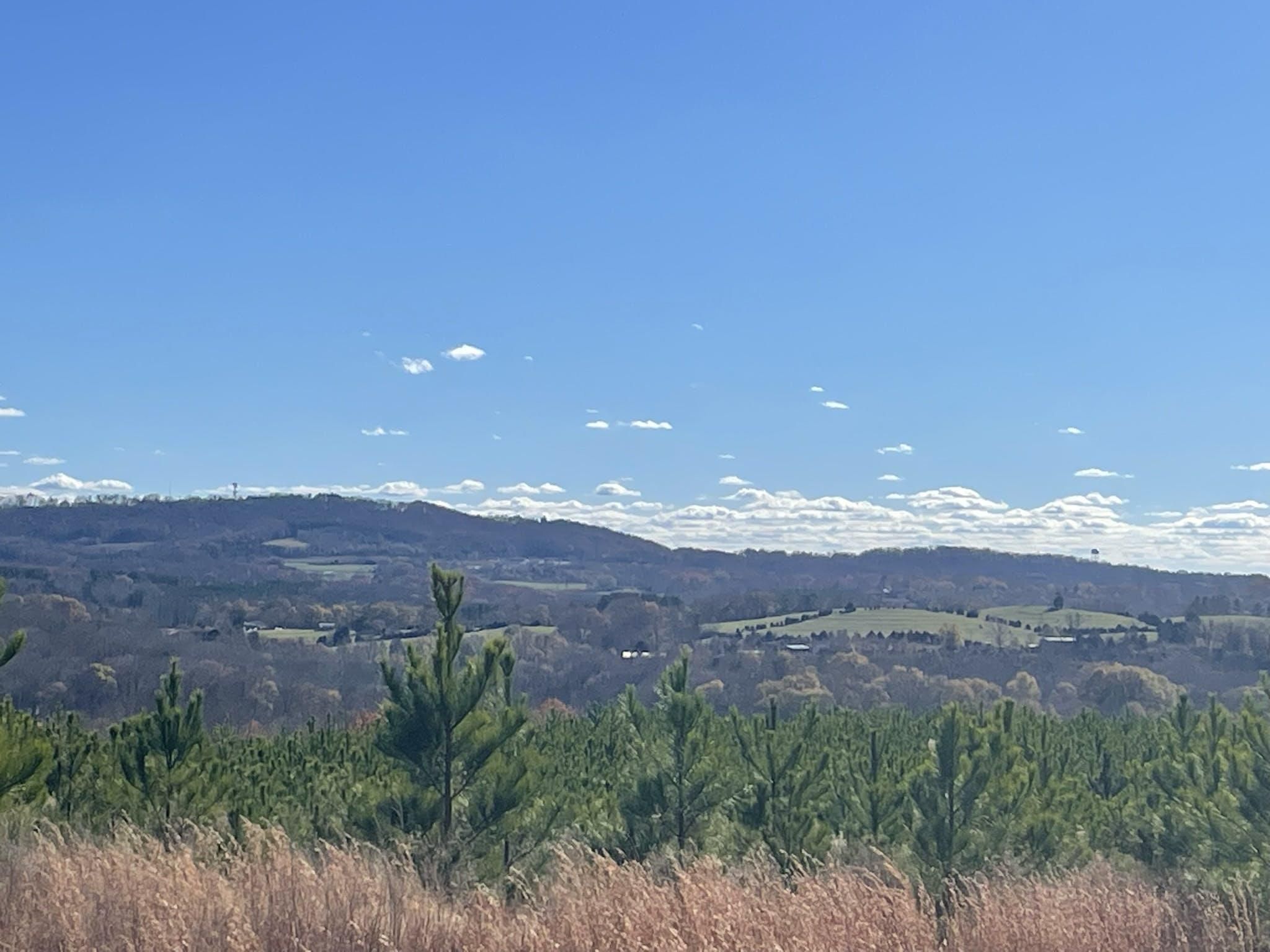 Patterson Springs, Cleveland County, NC Timberland Property for sale