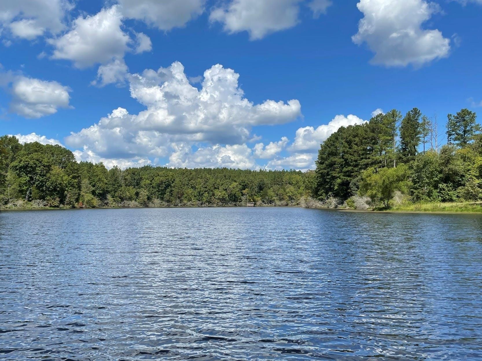 Smyrna, York County, SC Recreational Property, Timberland Property