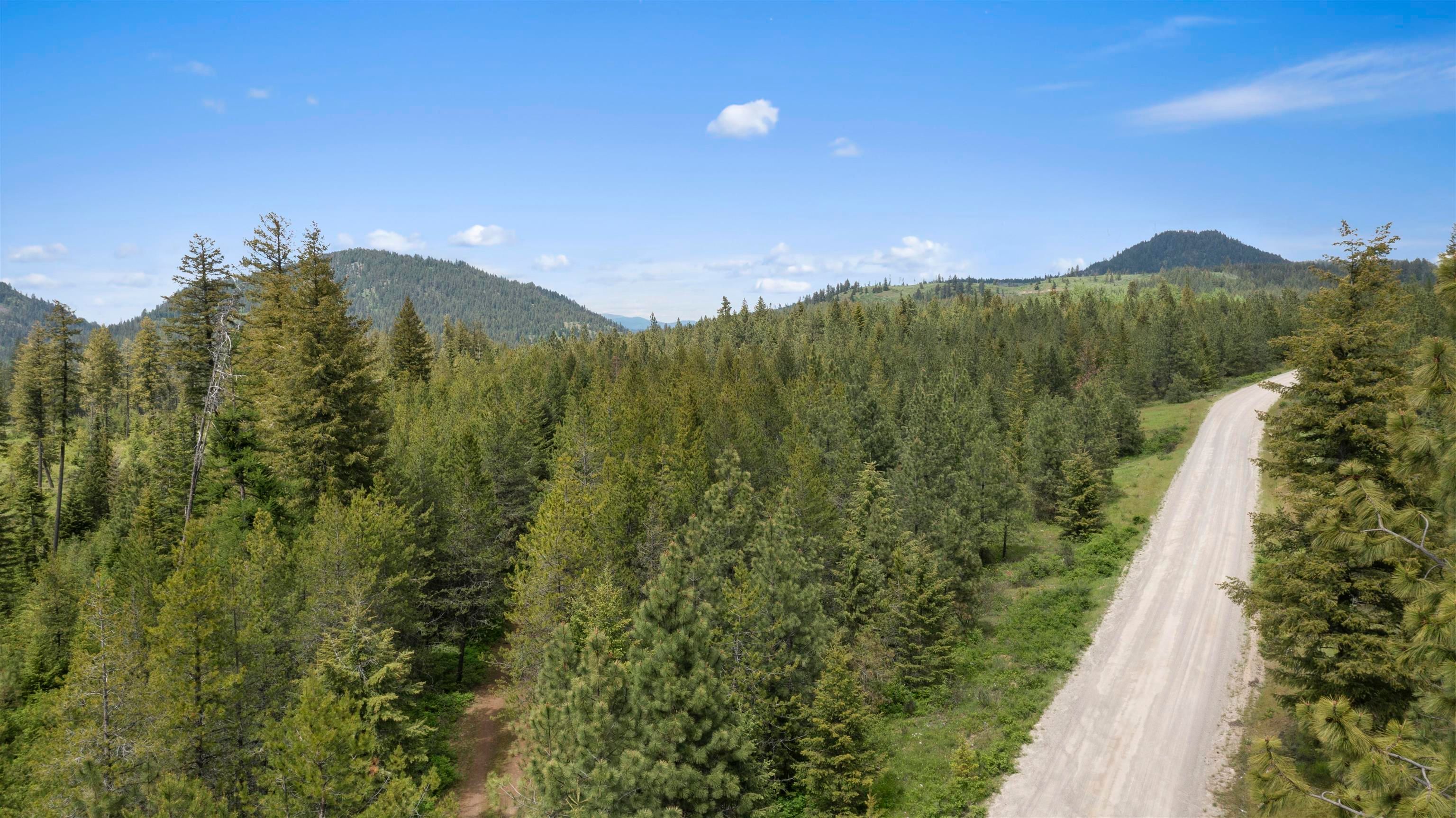 Newport, Pend Oreille County, WA Undeveloped Land for sale Property ID