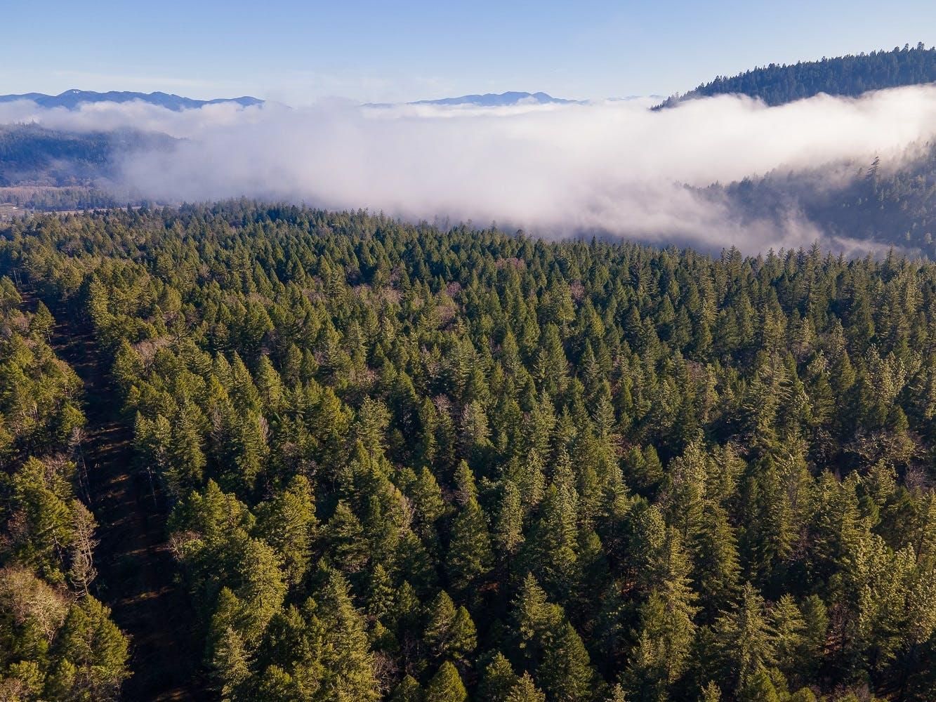 Grants Pass, Josephine County, OR Recreational Property, Timberland