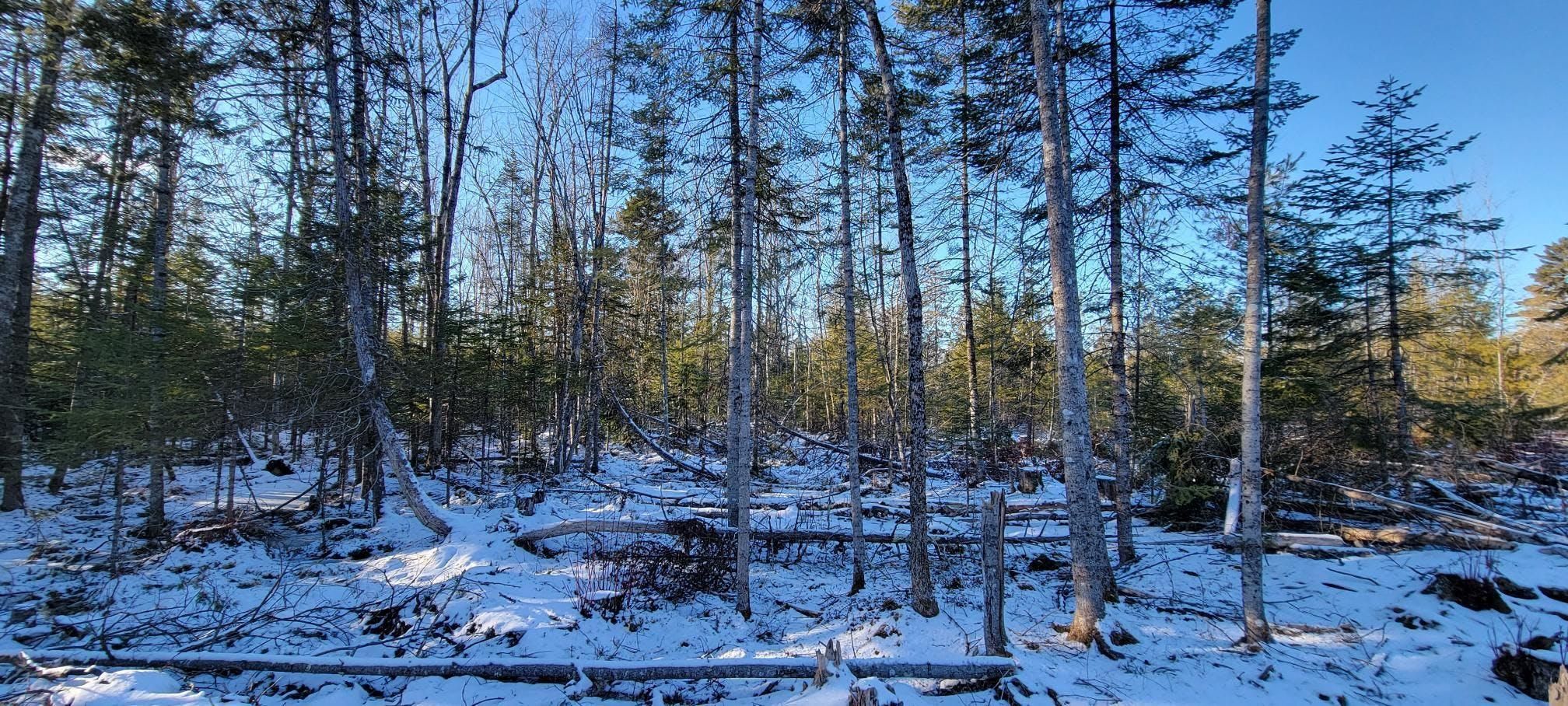 165 acres in Palmyra, ME, 04965 LandWatch