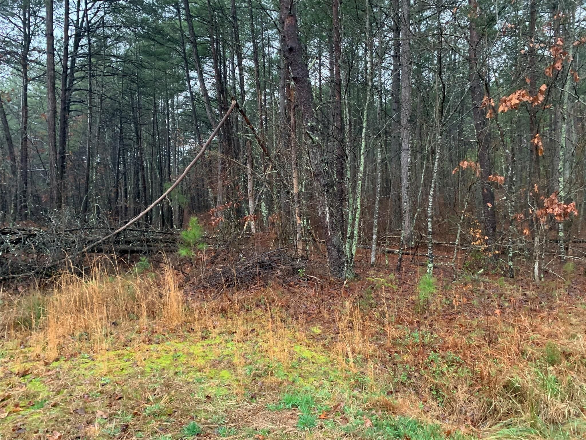 Mill Spring, Polk County, NC Homesites for sale Property ID 415938274