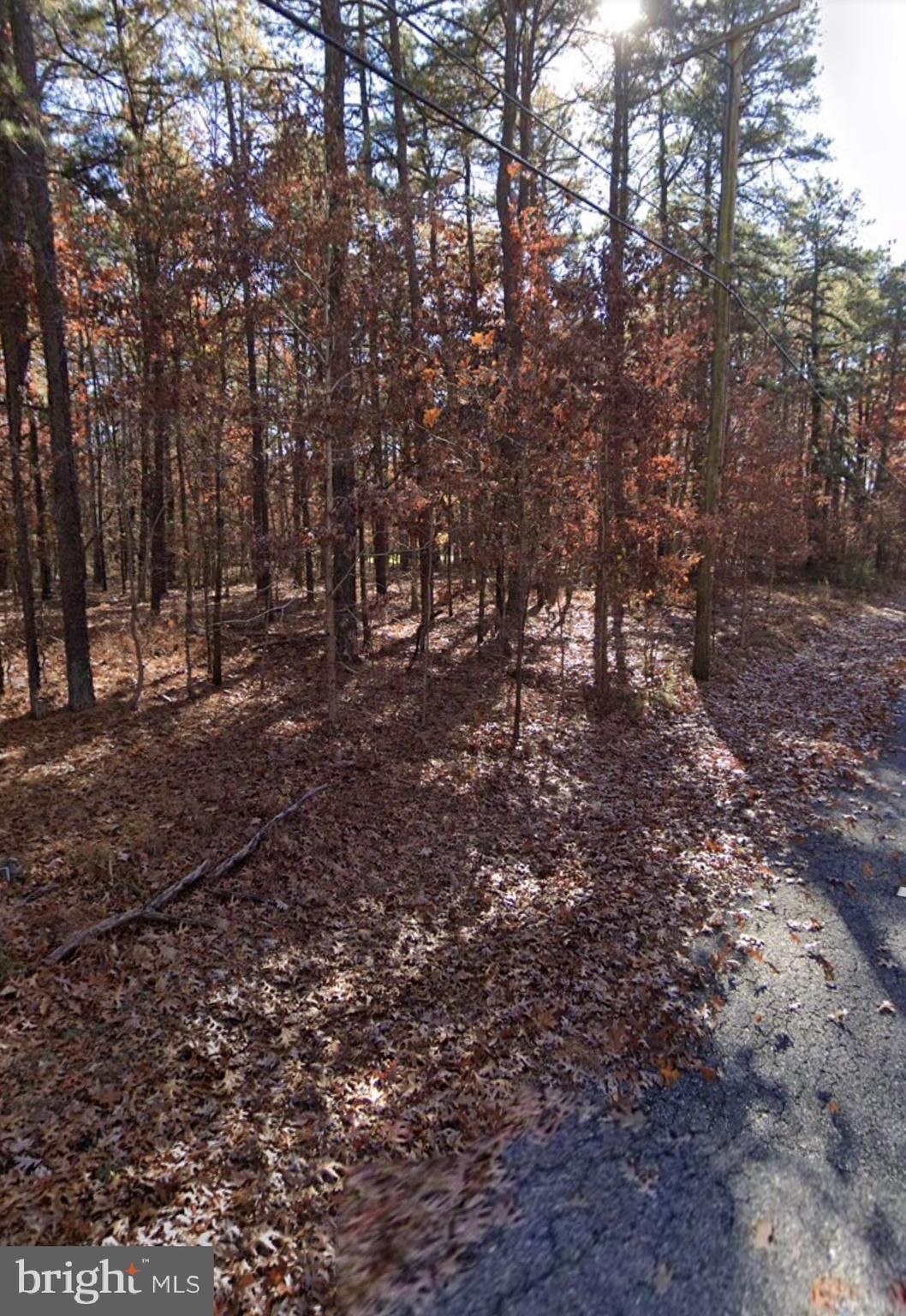 Buena, Atlantic County, NJ Undeveloped Land, Homesites for sale