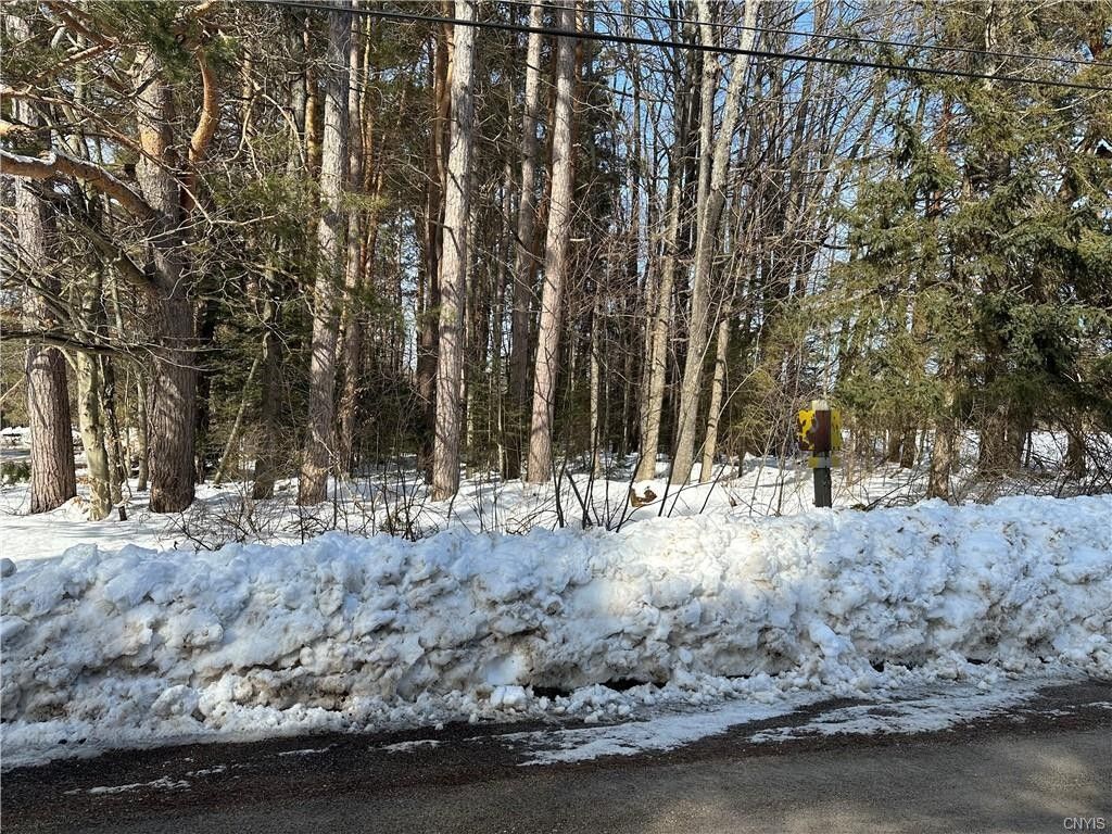 Natural Bridge, Lewis County, NY Undeveloped Land for sale Property ID