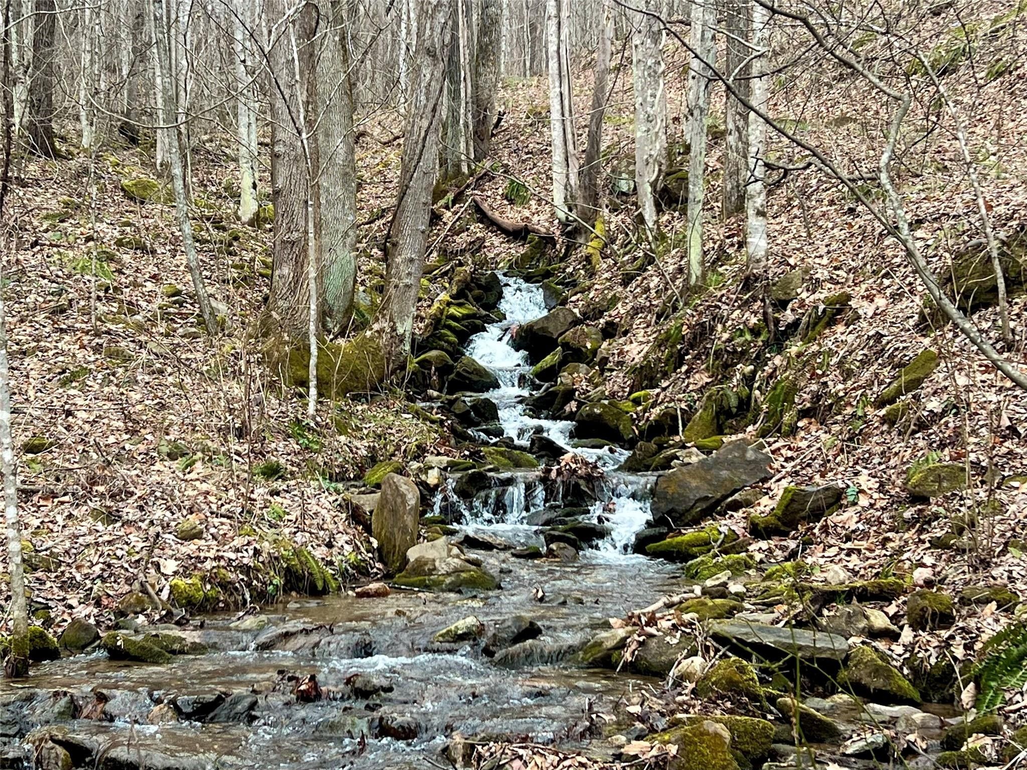 Waynesville, Haywood County, NC Undeveloped Land for sale Property ID