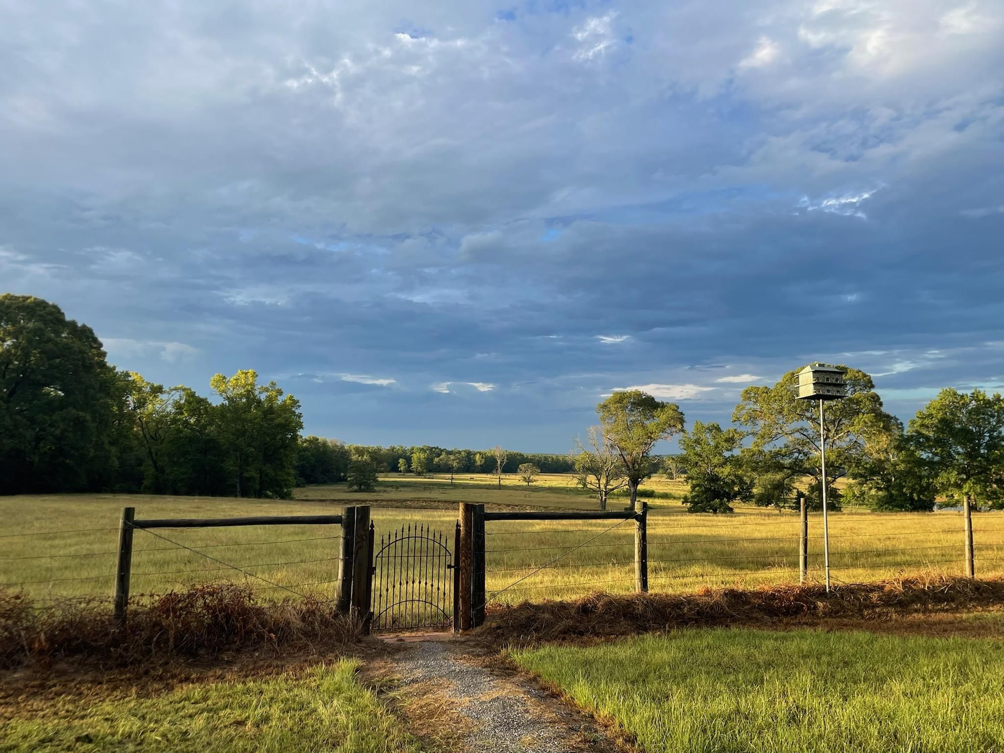 Flo, Leon County, TX Recreational Property, Hunting Property for sale