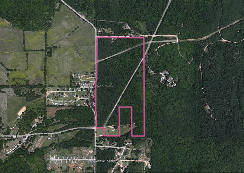 Moundville, Tuscaloosa County, AL Timberland Property, Undeveloped Land