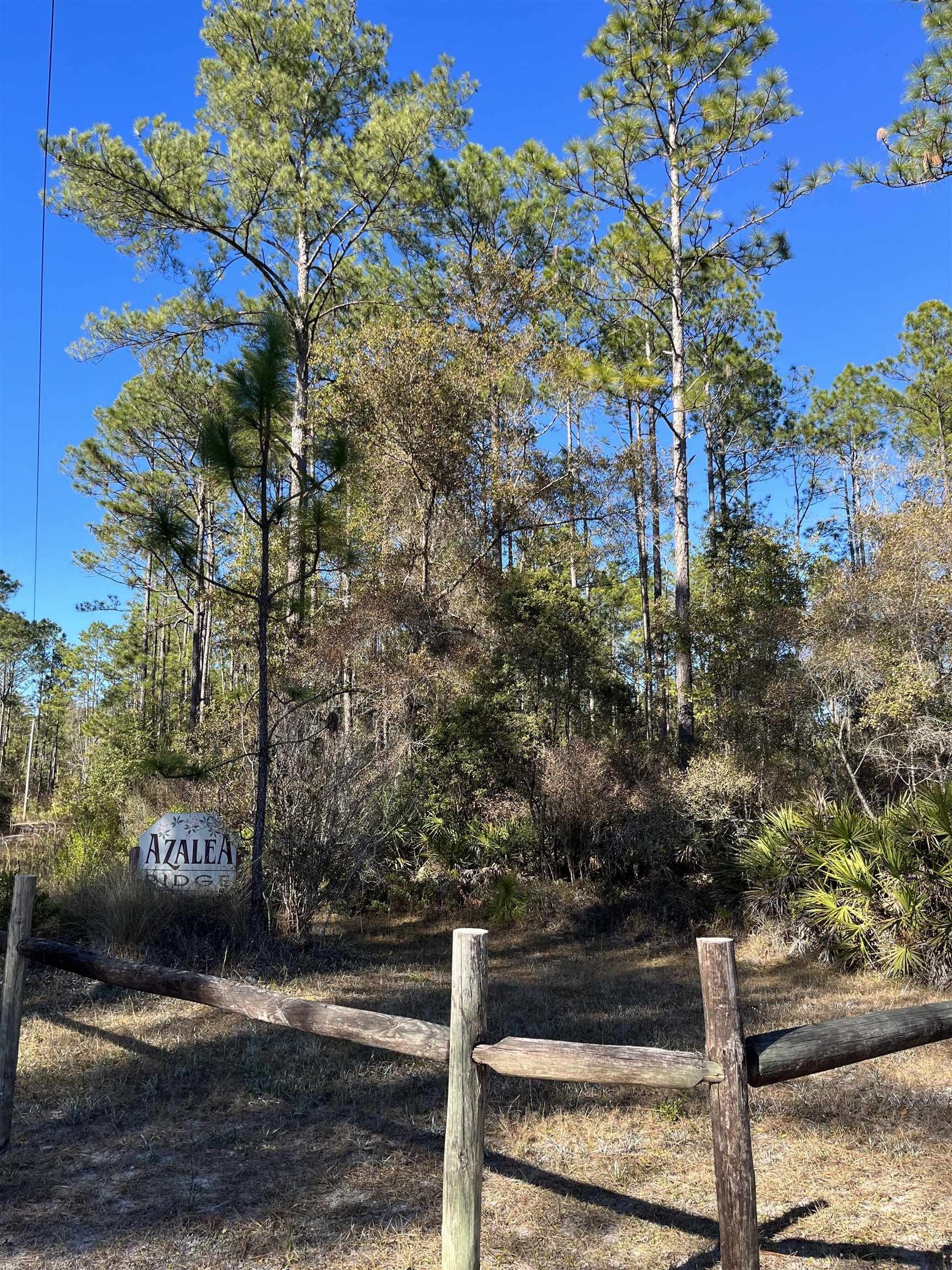 Sopchoppy, Wakulla County, FL Farms and Ranches for sale Property ID 415961843 LandWatch