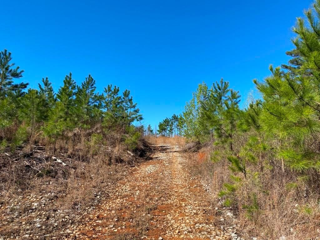 Iuka, Tishomingo County, MS Recreational Property, Timberland Property