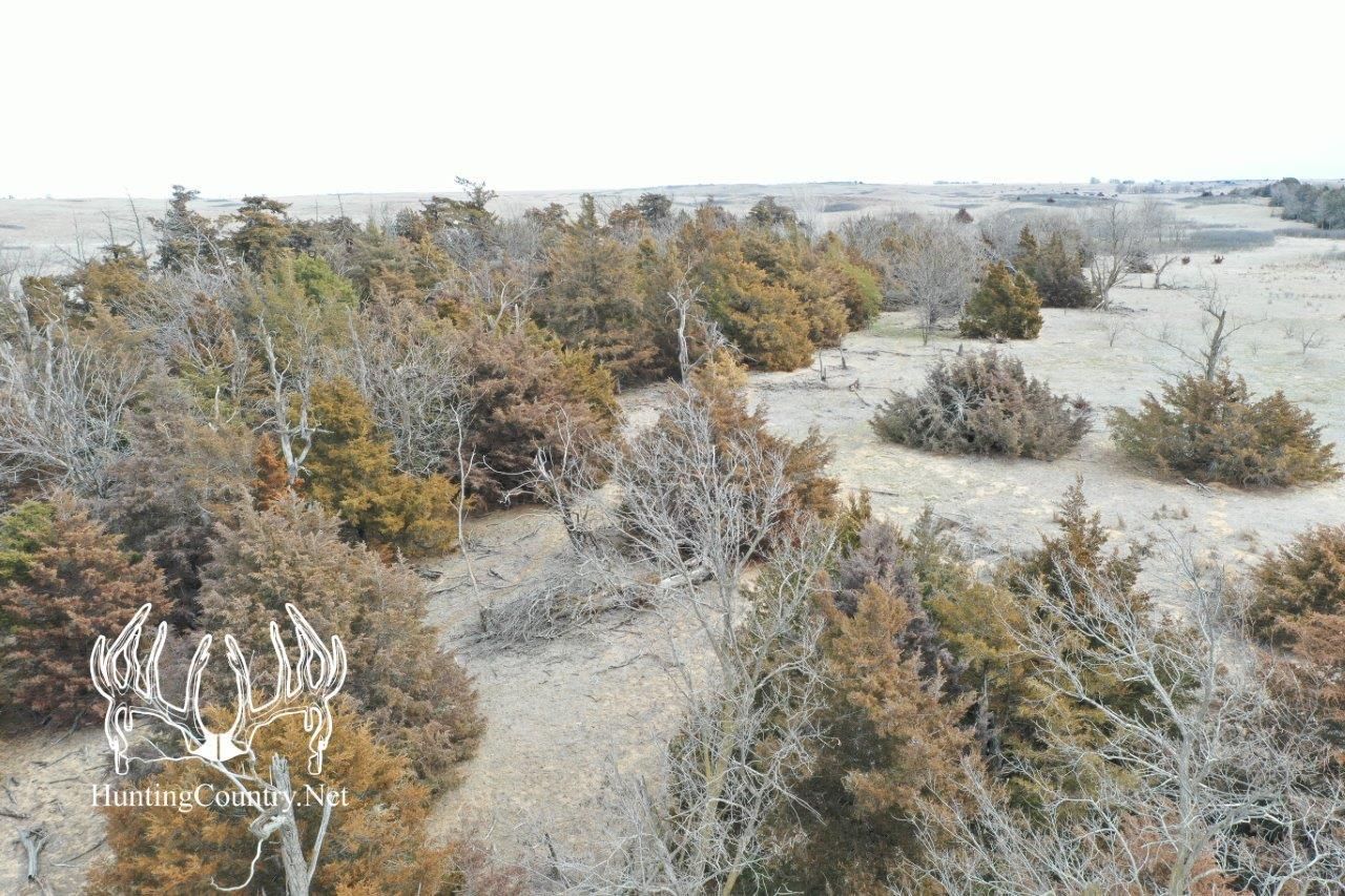880 acres in Greensburg, KS, 67054 MLS KS606 LandWatch