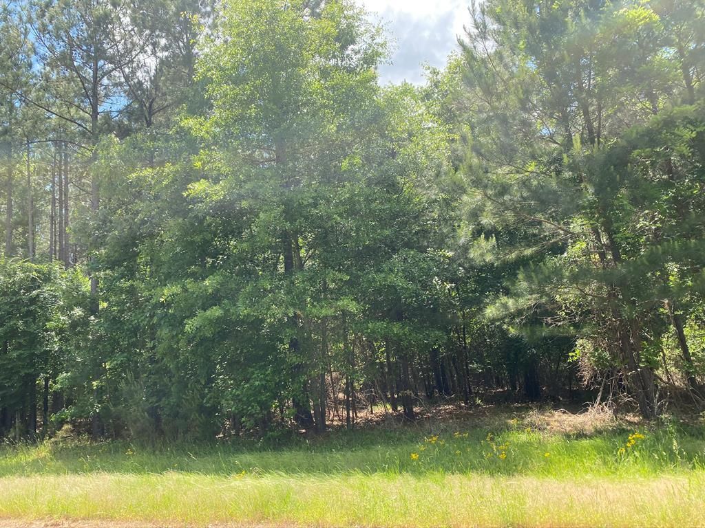 Lincolnton, Lincoln County, GA Recreational Property, Undeveloped Land