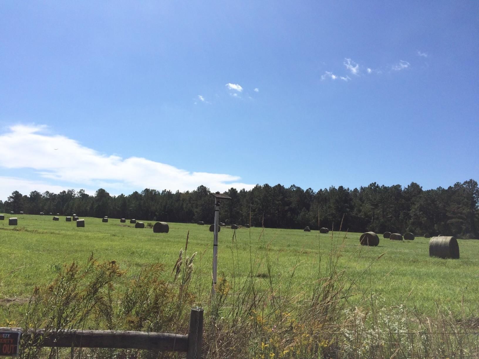 Havana, Gadsden County, FL Farms and Ranches, Hunting Property, Horse