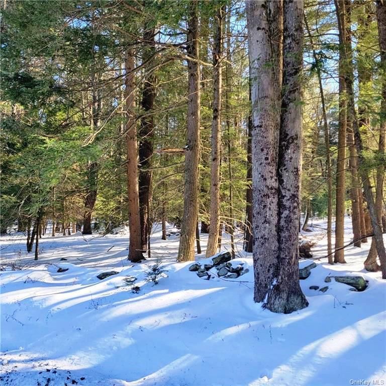 Forestburgh, Sullivan County, NY Recreational Property for sale