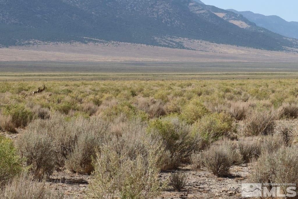 Ely, White Pine County, NV Undeveloped Land for sale Property ID