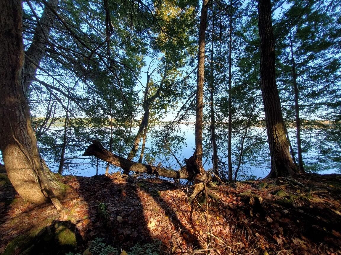 Princeton, Washington County, ME Undeveloped Land, Lakefront Property