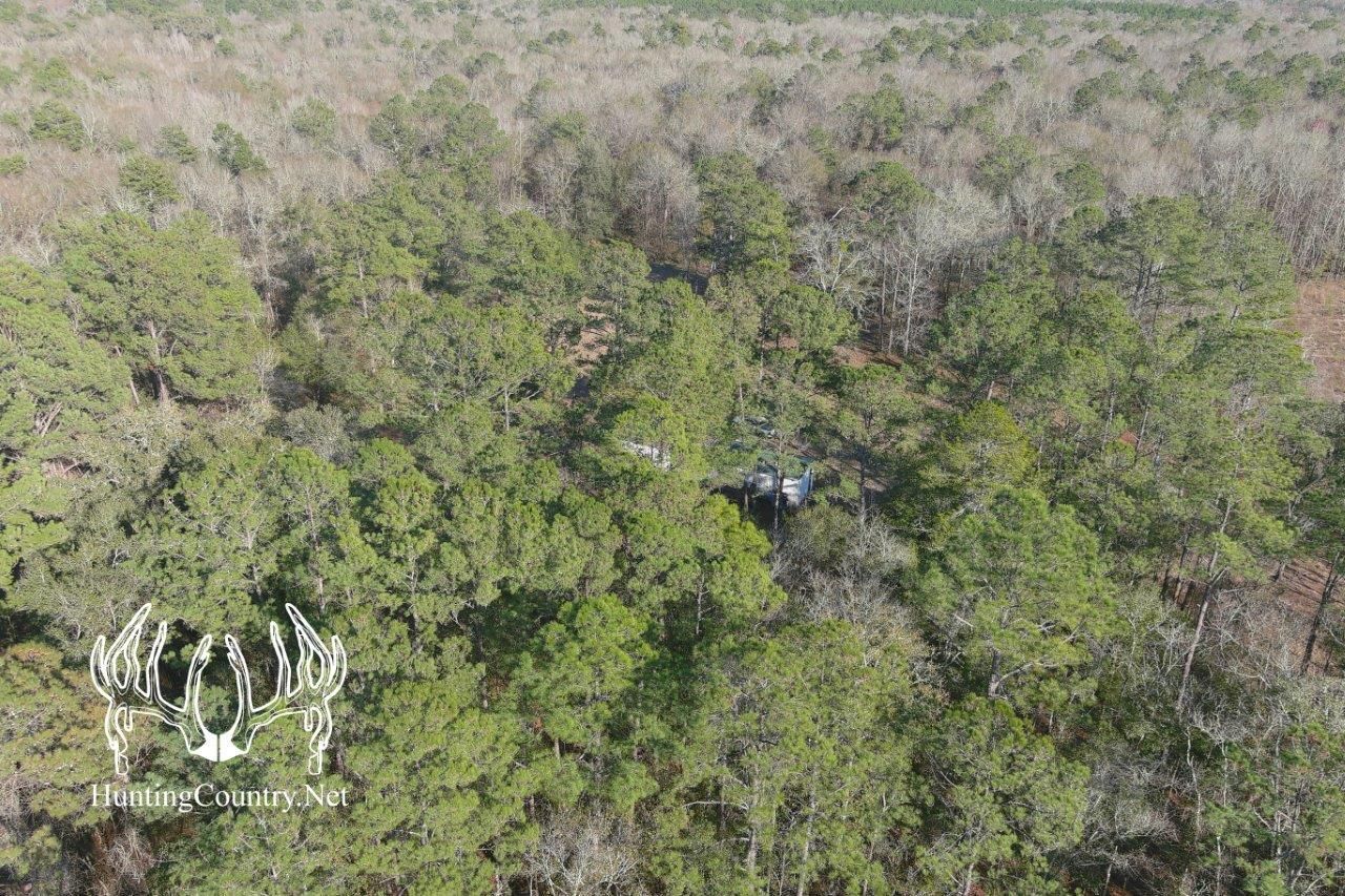 272 acres in Mayo, FL, 32066 MLS FL604 LandWatch