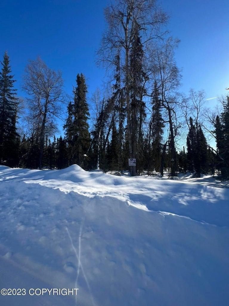 Soldotna, Kenai Peninsula Borough, AK Recreational Property