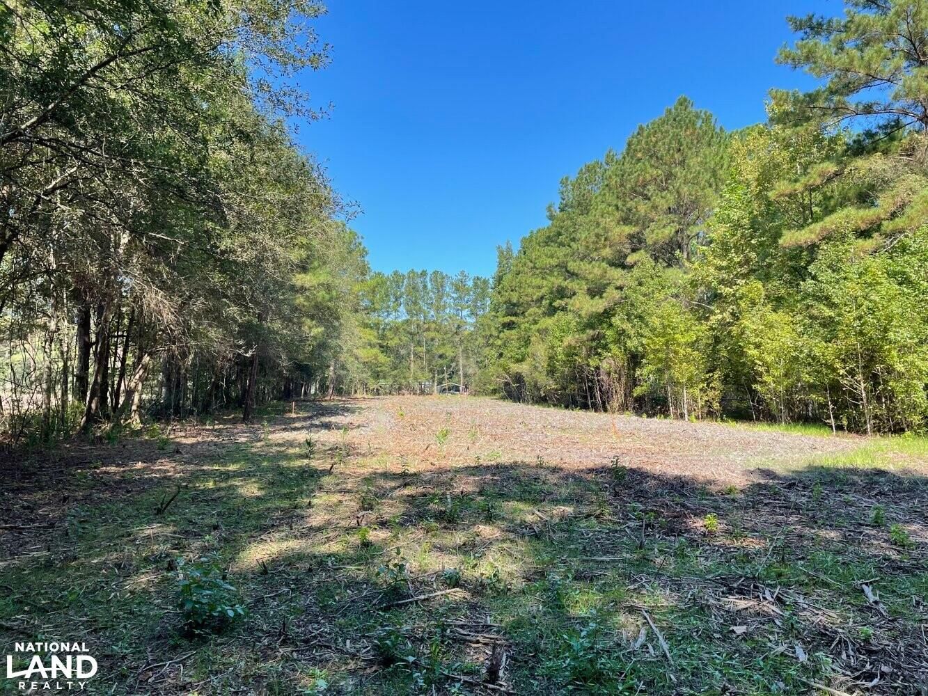 Ridgeville, Berkeley County, SC Recreational Property, Homesites for