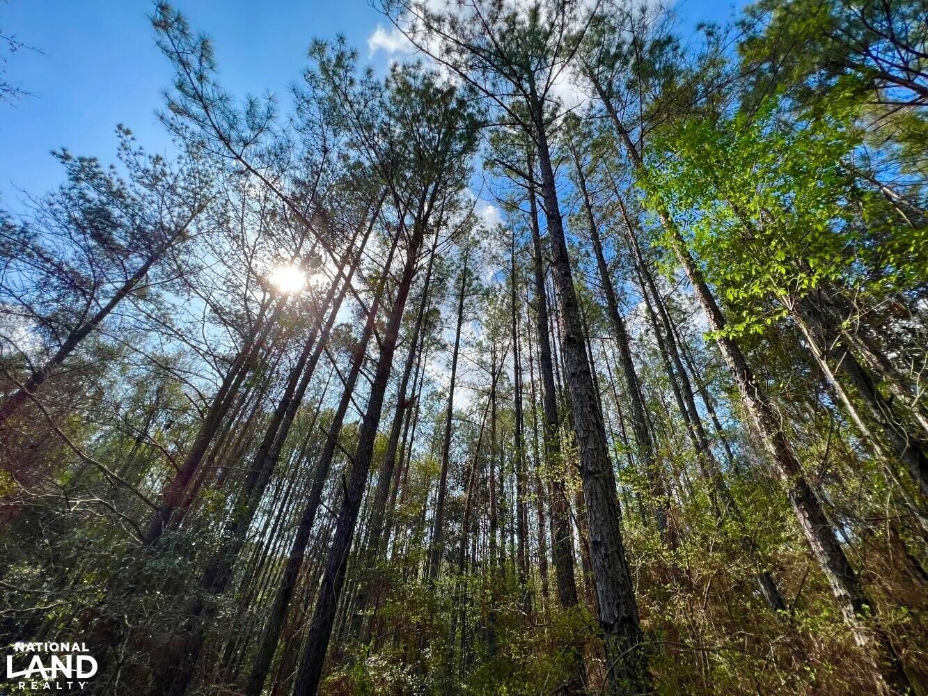 Newton, Houston County, AL Recreational Property, Undeveloped Land for