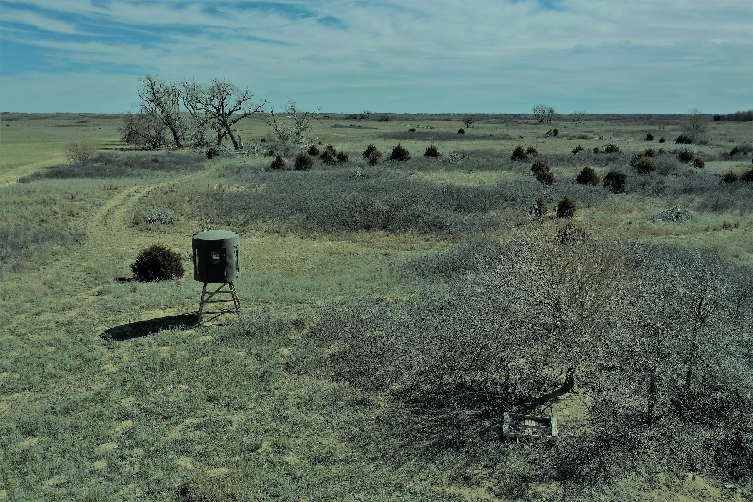 Pratt, Pratt County, KS Farms and Ranches, Hunting Property for sale