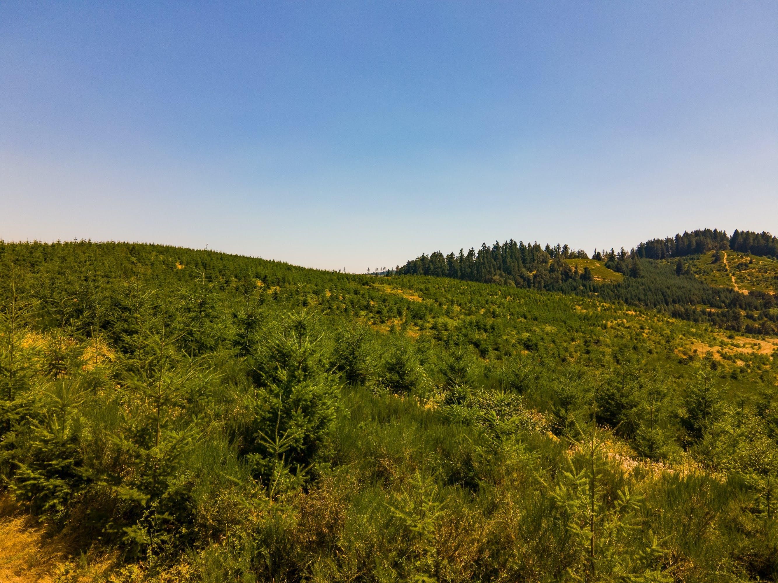Eugene, Lane County, OR Recreational Property, Timberland Property