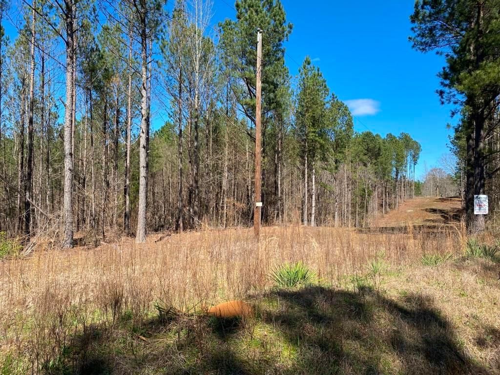 105 acres in Iuka, MS, 38873 MLS 7654 Tishomingo County, MS LandWatch