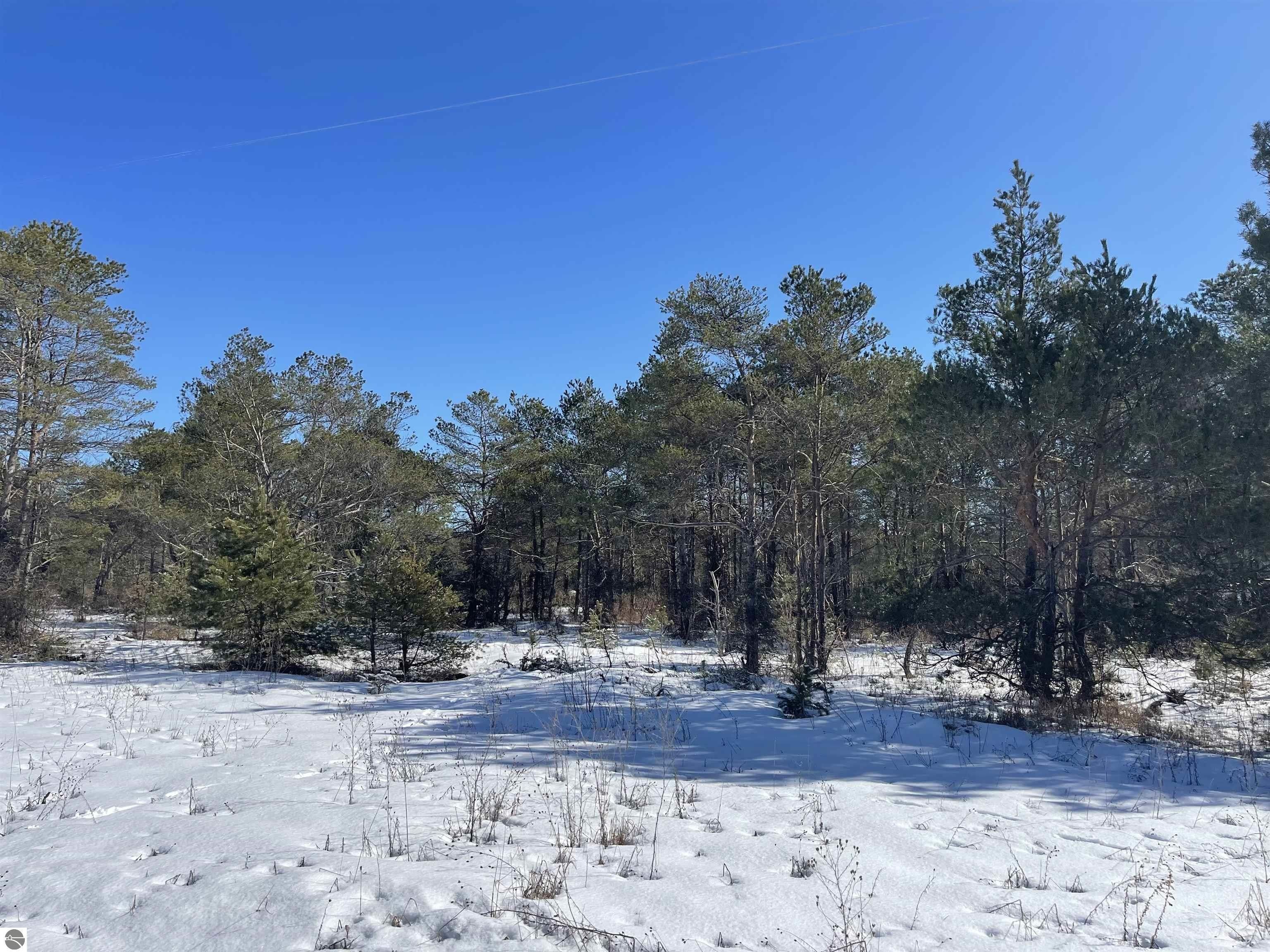 Beulah, Benzie County, MI Undeveloped Land, Lakefront Property