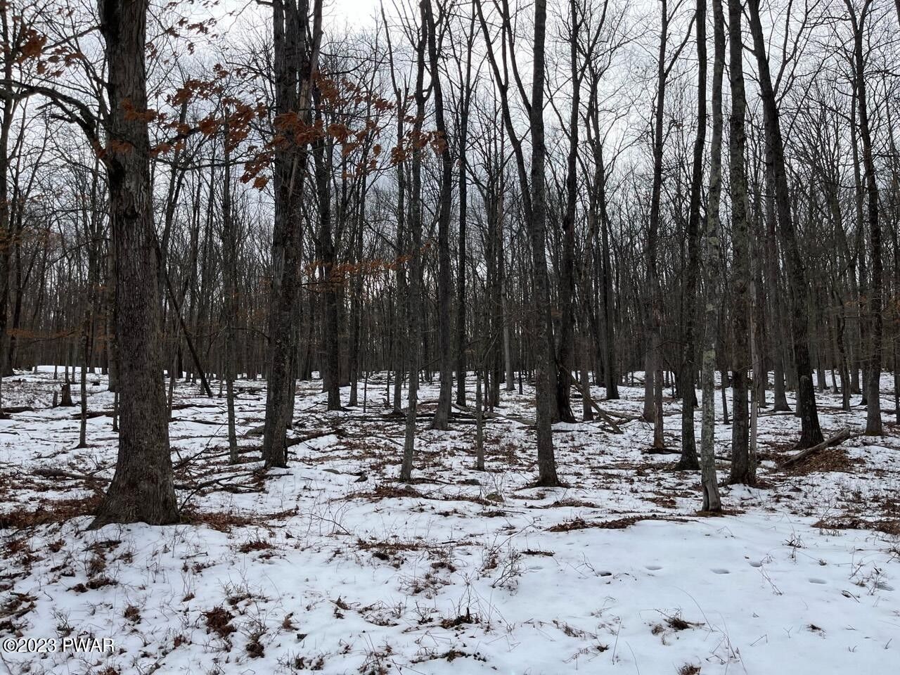 Hawley, Wayne County, PA Undeveloped Land for sale Property ID