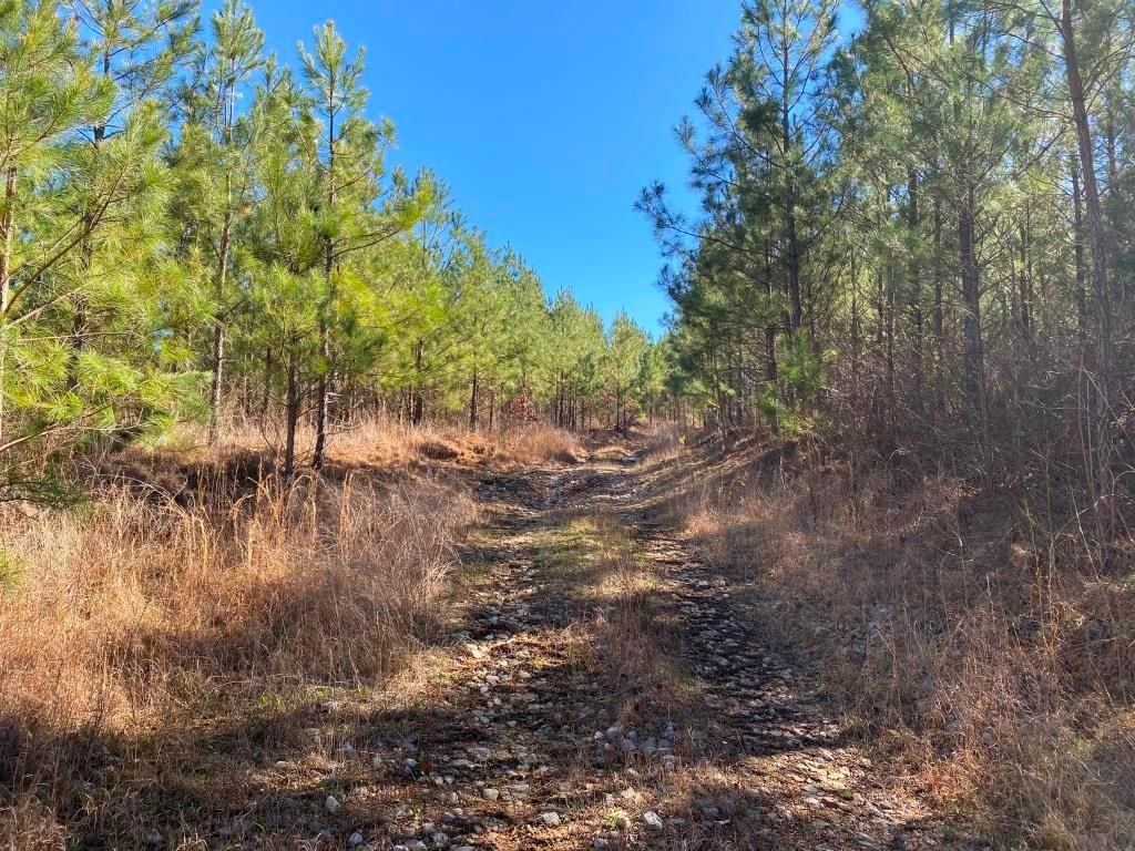 124 acres in Iuka, MS, 38852 MLS 7655B Tishomingo County, MS LandWatch