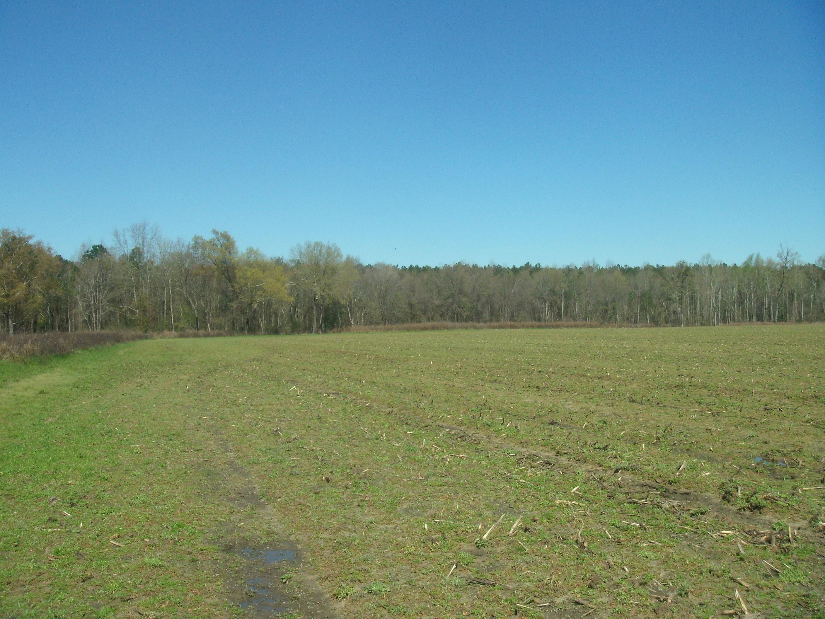 Higgston, Montgomery County, GA Farms and Ranches, Recreational