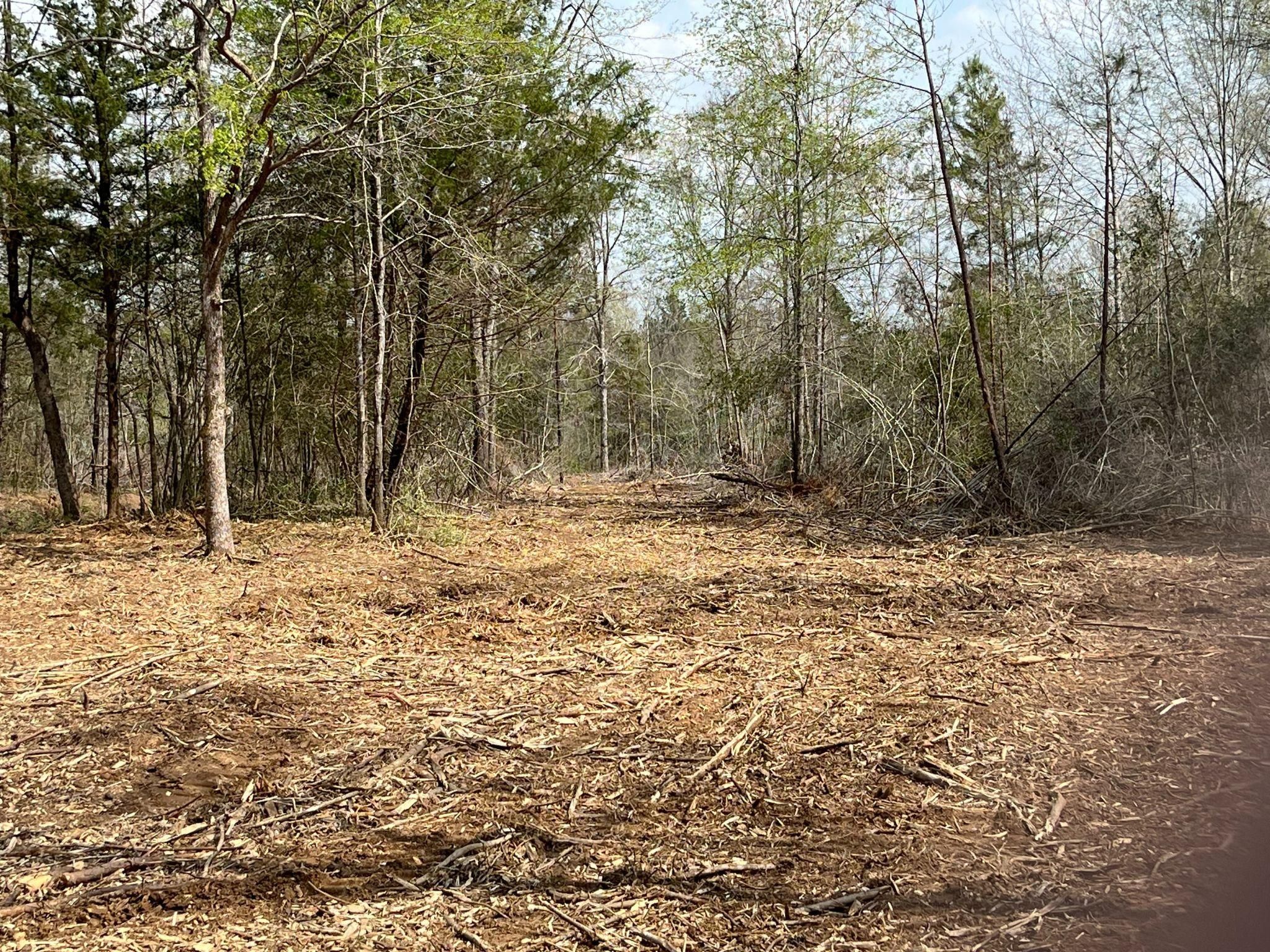 Timpson, Shelby County, TX Recreational Property, Timberland Property