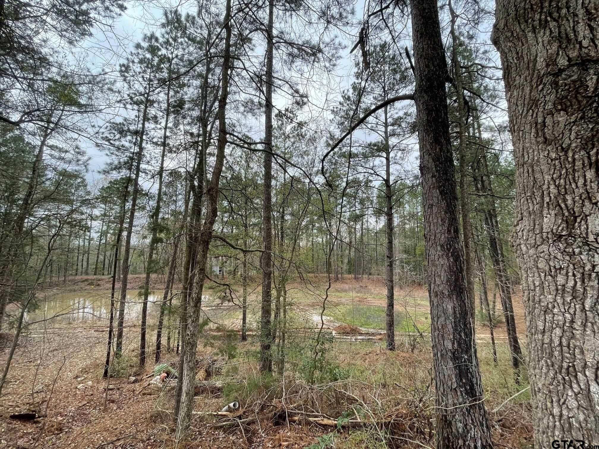 Linden, Cass County, TX Farms and Ranches, House for sale Property ID