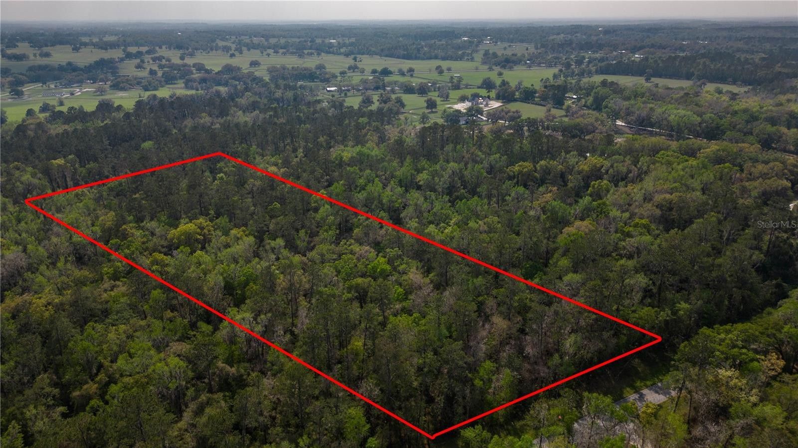Reddick, Marion County, FL Farms and Ranches for sale Property ID