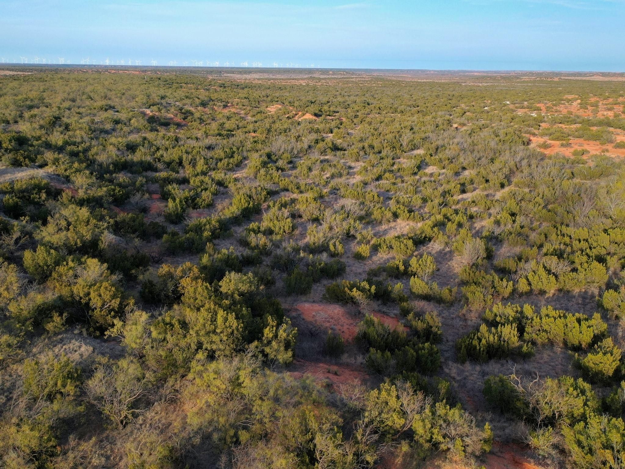 Crowell, Knox County, TX Farms and Ranches, Undeveloped Land, Hunting