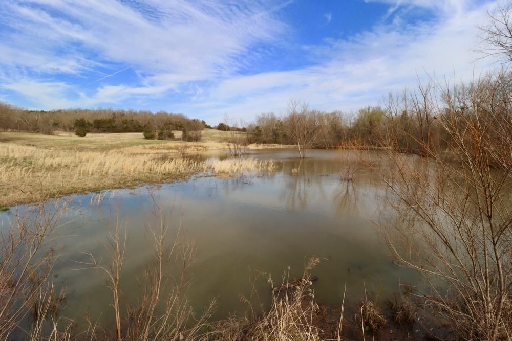 Mountain Home, Baxter County, AR Farms and Ranches, Undeveloped Land