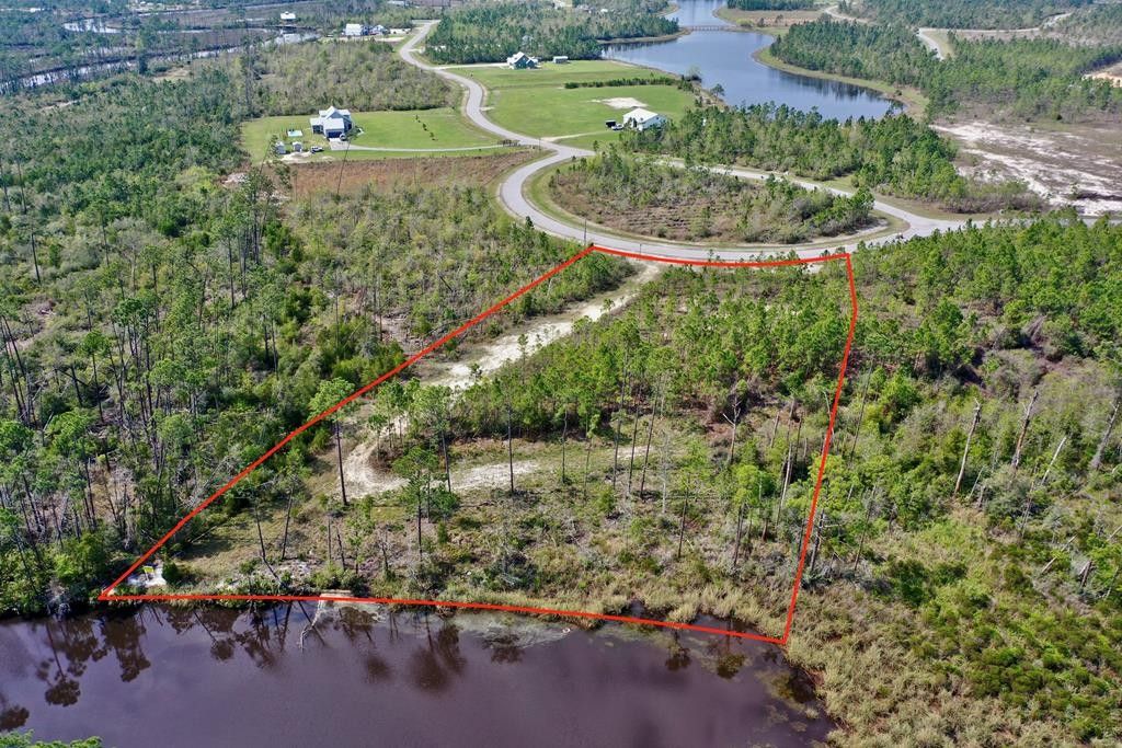 Wewahitchka, Gulf County, FL Undeveloped Land, Lakefront Property
