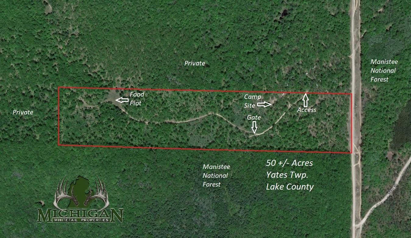 VL State Road, Chase, MI 49623 MLS VL State Road 50 Acres LandWatch