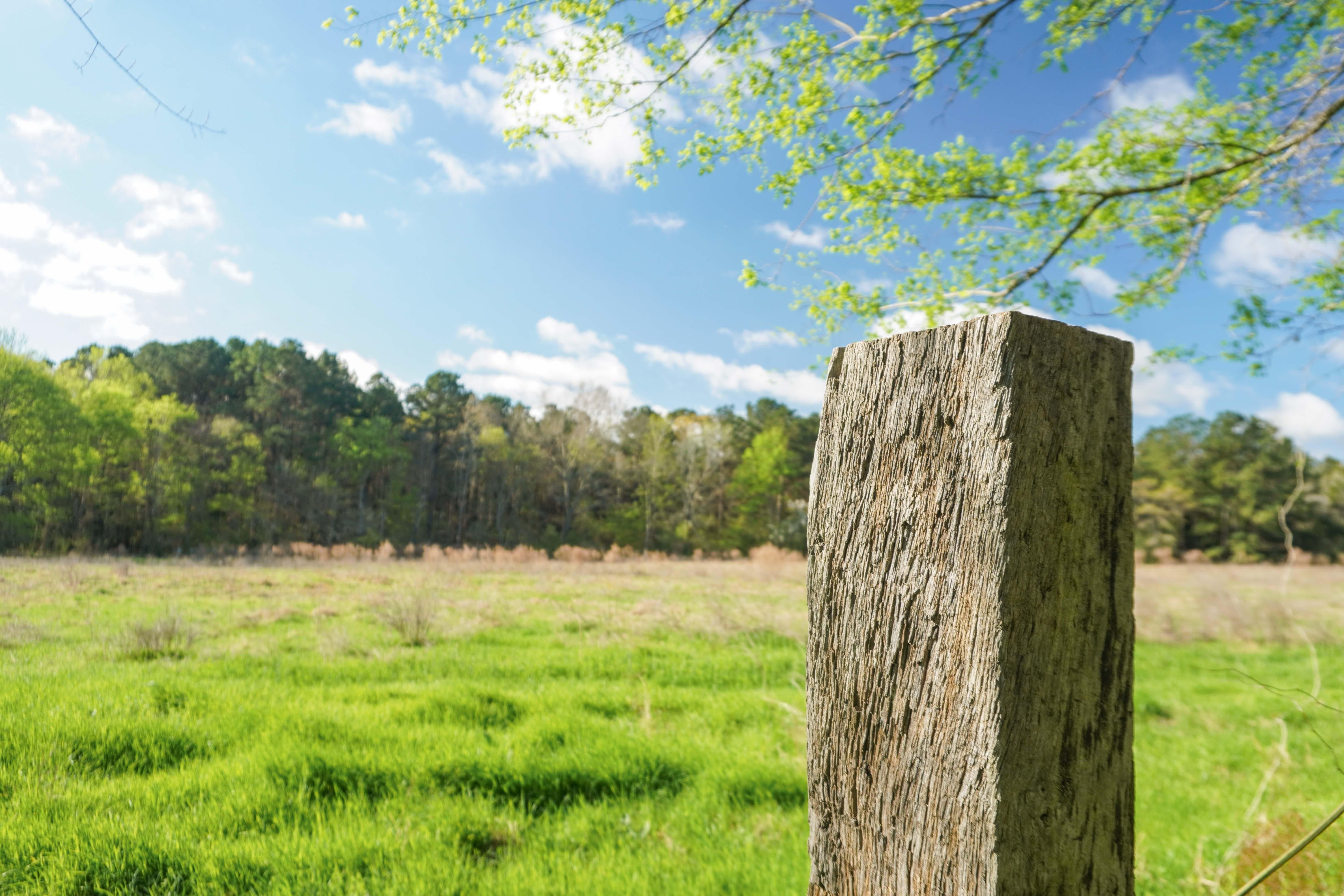 Milam, Sabine County, TX Farms and Ranches, Recreational Property