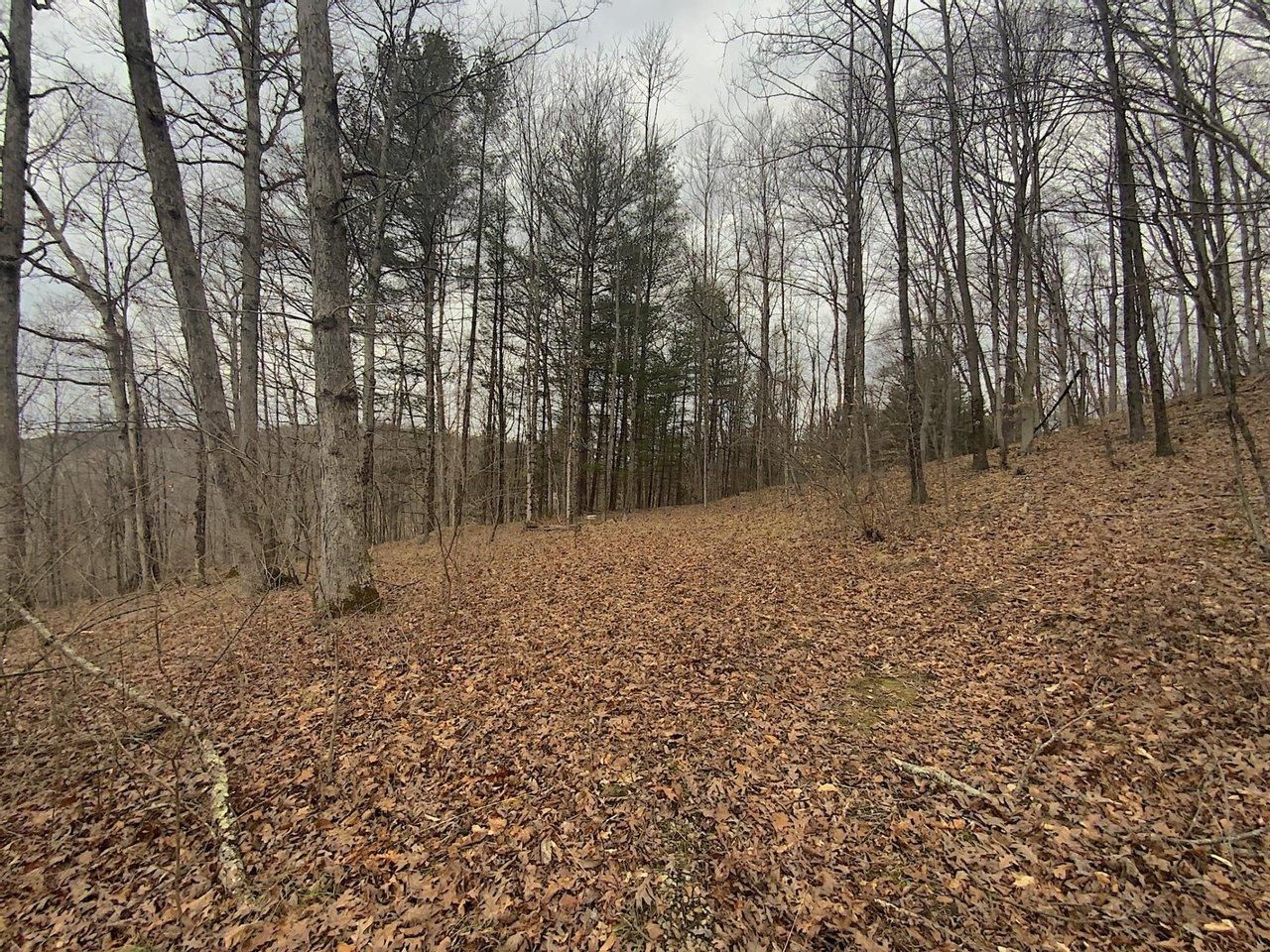 Corning, Perry County, OH Recreational Property, Hunting Property for