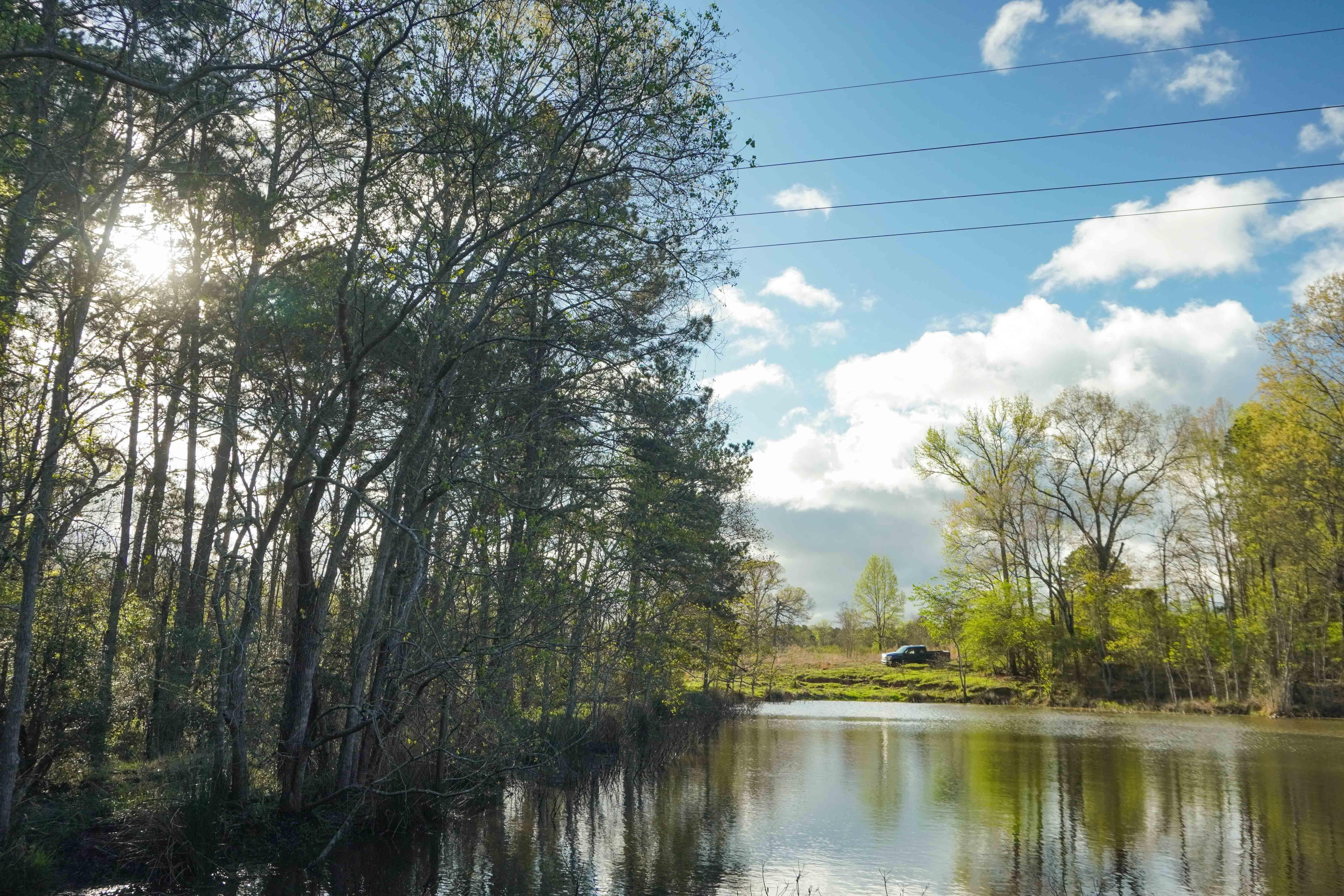 Milam, Sabine County, TX Recreational Property, Hunting Property for