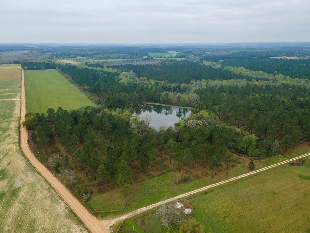 Dixie, Brooks County, GA Undeveloped Land for sale Property ID