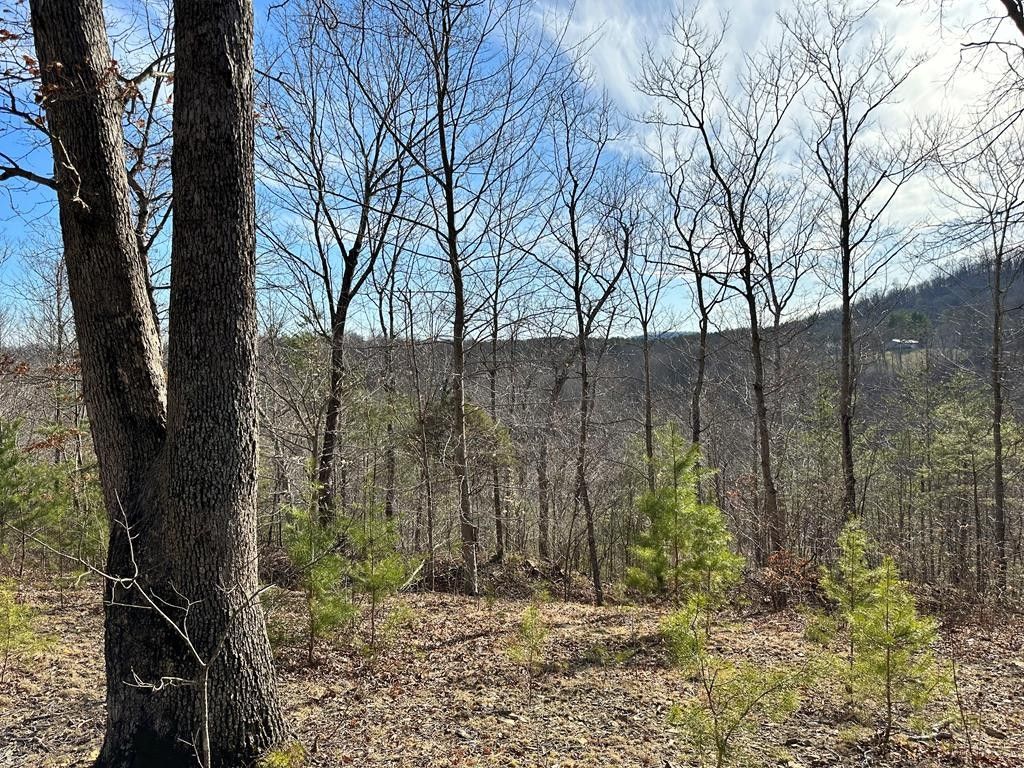 Lucasville, Scioto County, OH Undeveloped Land for sale Property ID