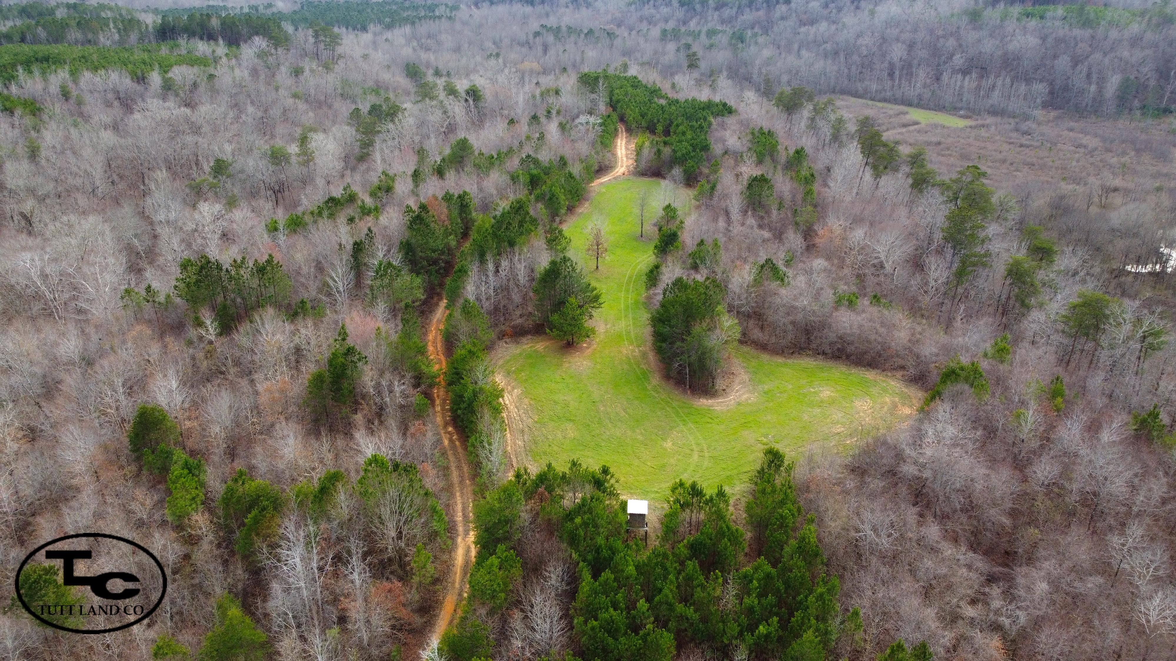 Berry, Fayette County, AL Recreational Property, Timberland Property