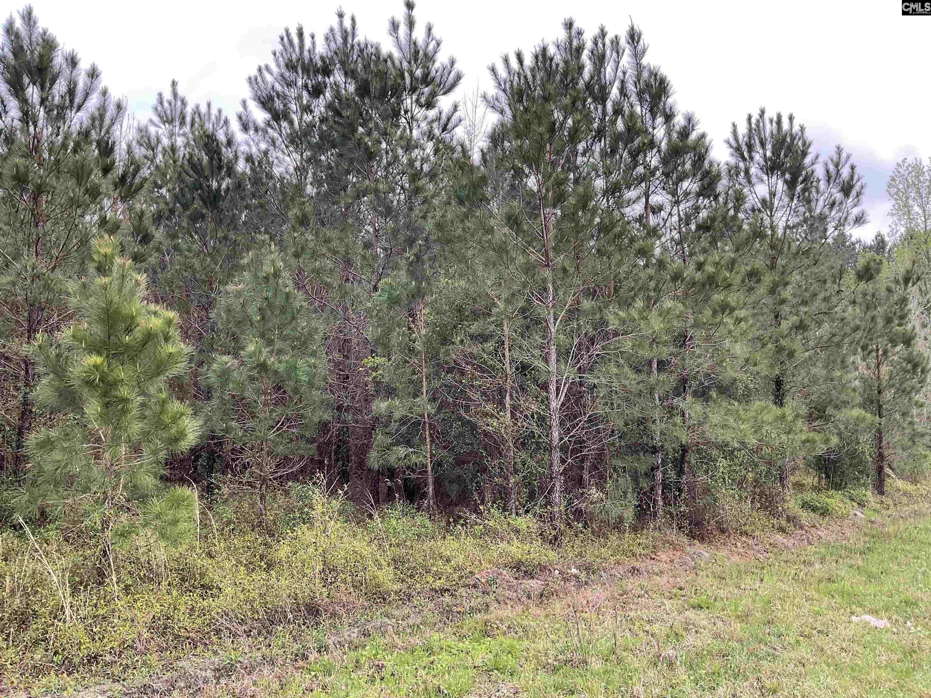 Allendale, Allendale County, SC Undeveloped Land for sale Property ID 415986333 LandWatch