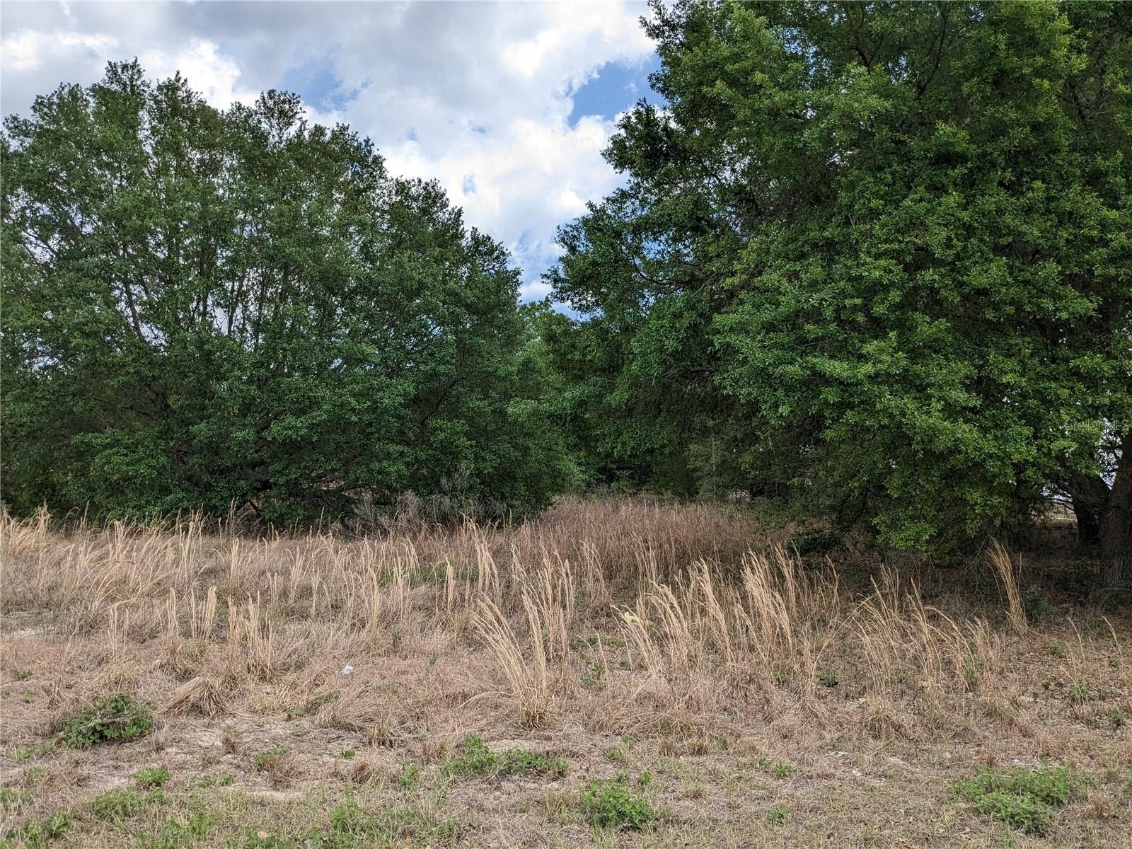 Weirsdale, Marion County, FL Farms and Ranches, Homesites for sale