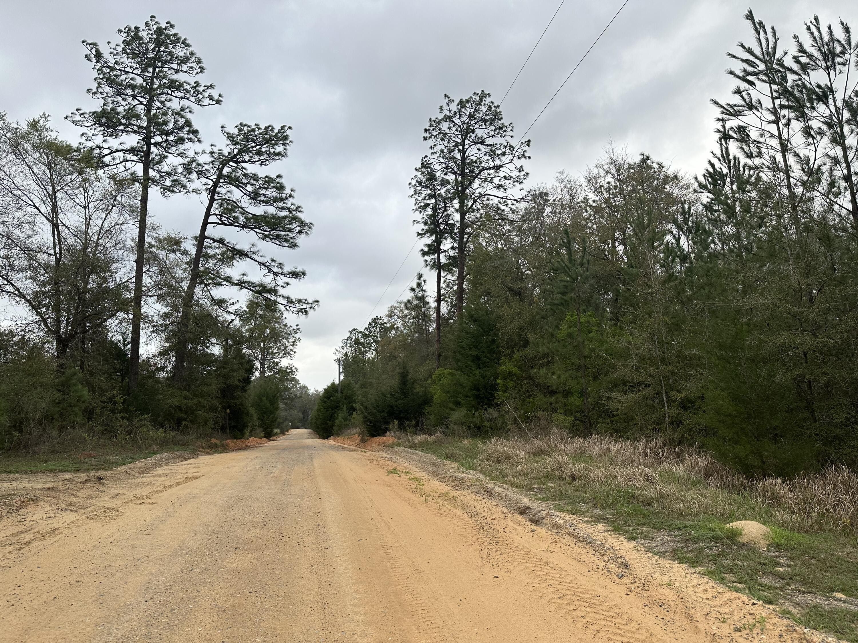 Caryville, Washington County, FL Undeveloped Land for sale Property ID