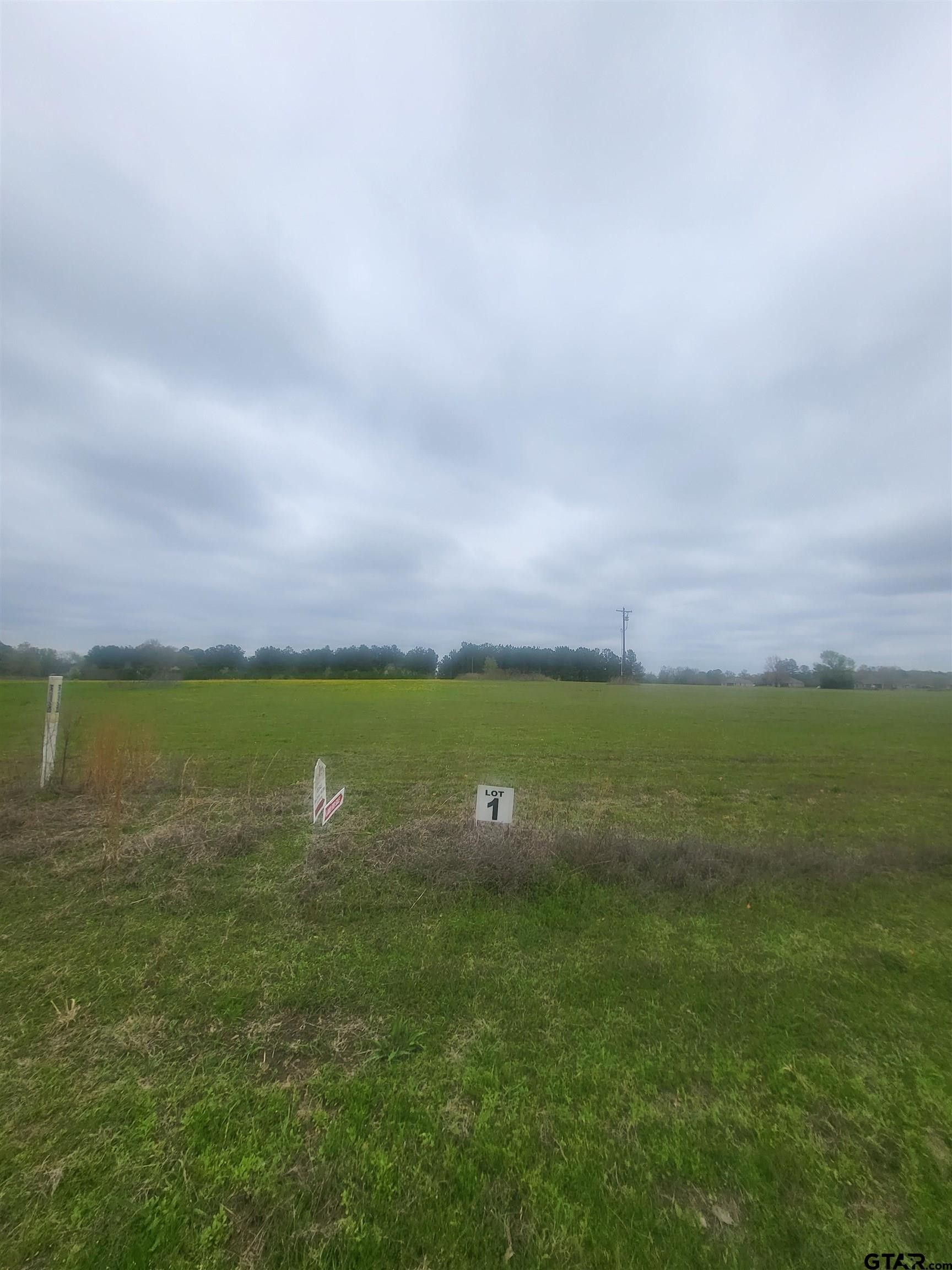 Winona, Smith County, TX Farms and Ranches, Homesites for sale Property