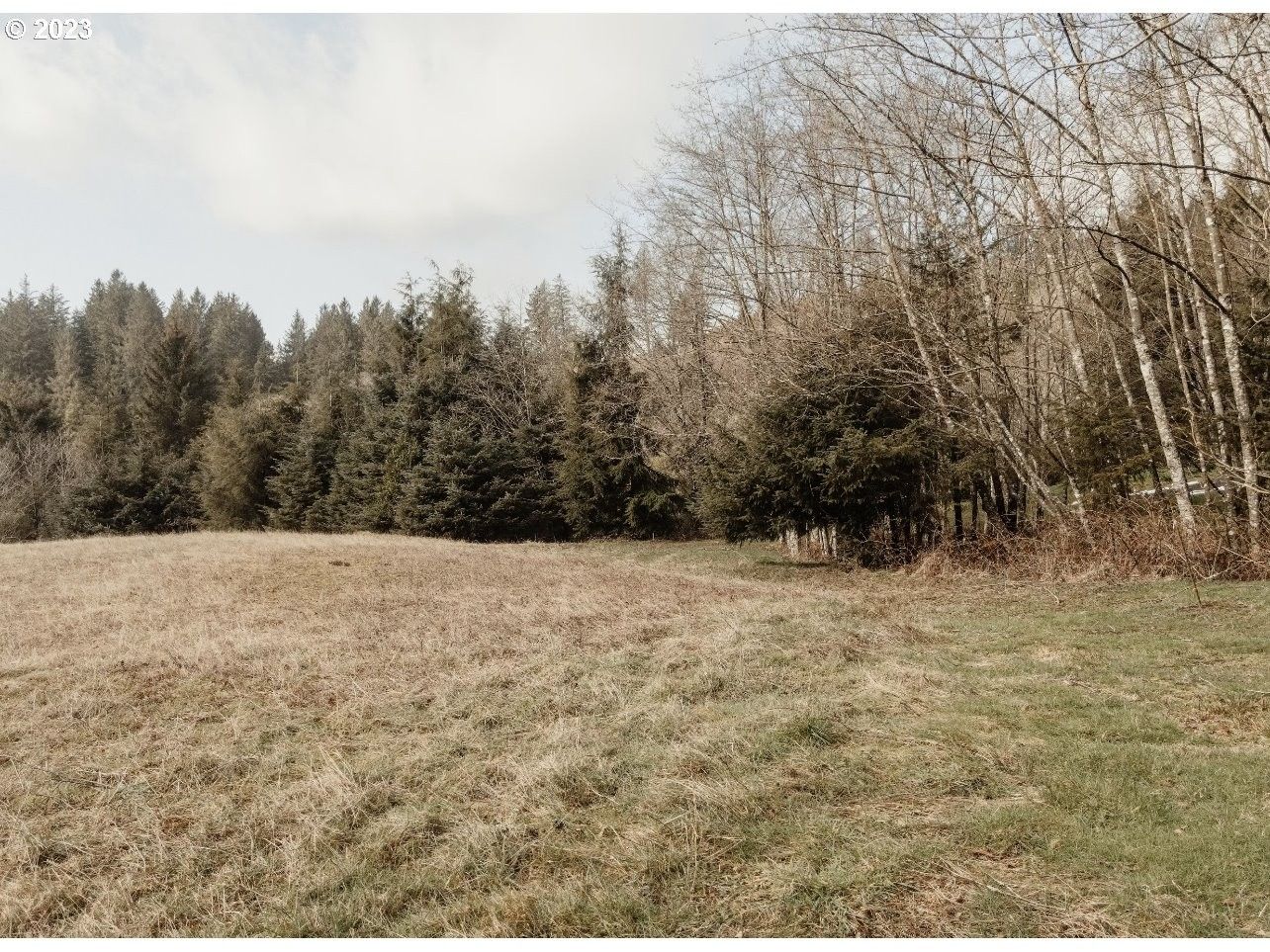 Tillamook, Tillamook County, OR Undeveloped Land, Homesites for sale